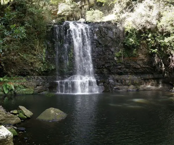 Water flowing and forest background at Belmore Falls