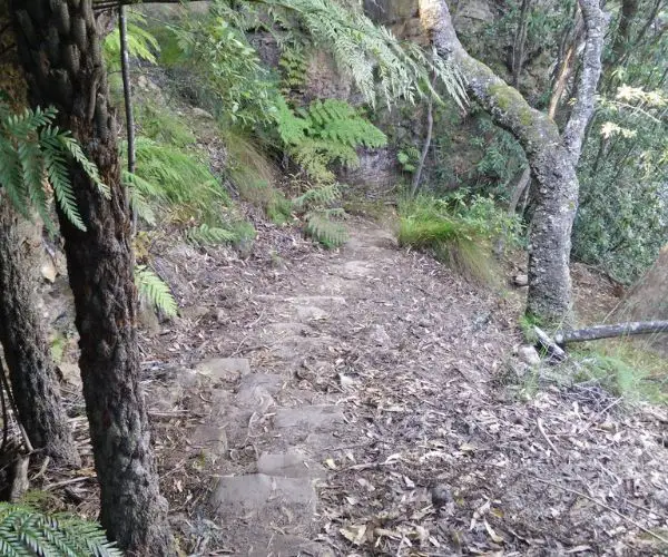 Belmore Falls Track