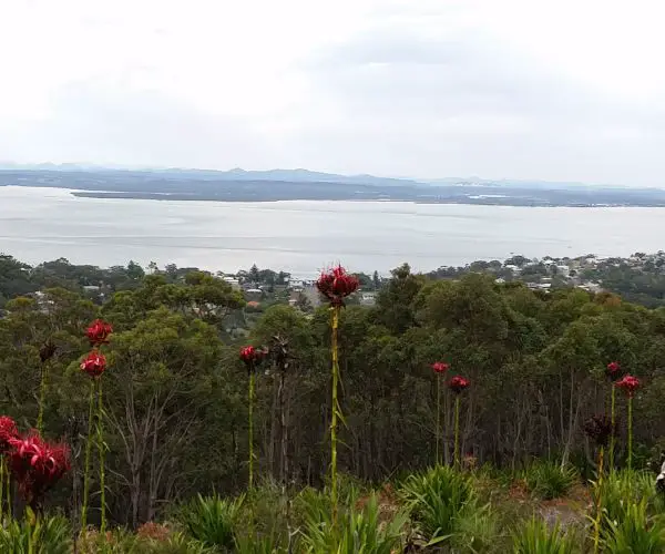 Gan Gan Lookout Nelson Bay