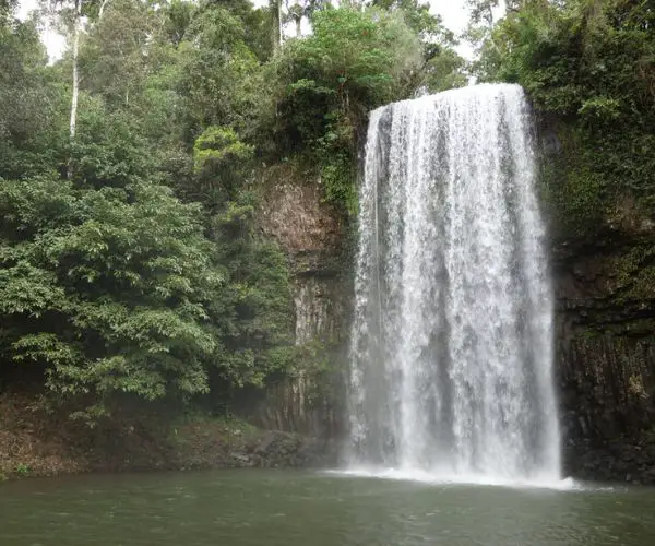 Close up of Millaa Millaa Waterfall