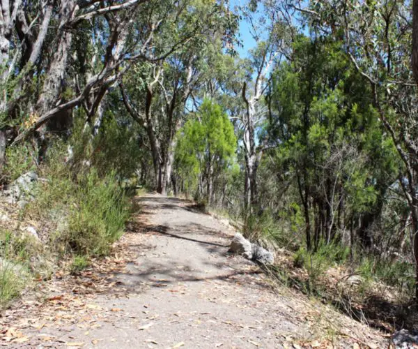 Walking trail at Mount Lofty Summit